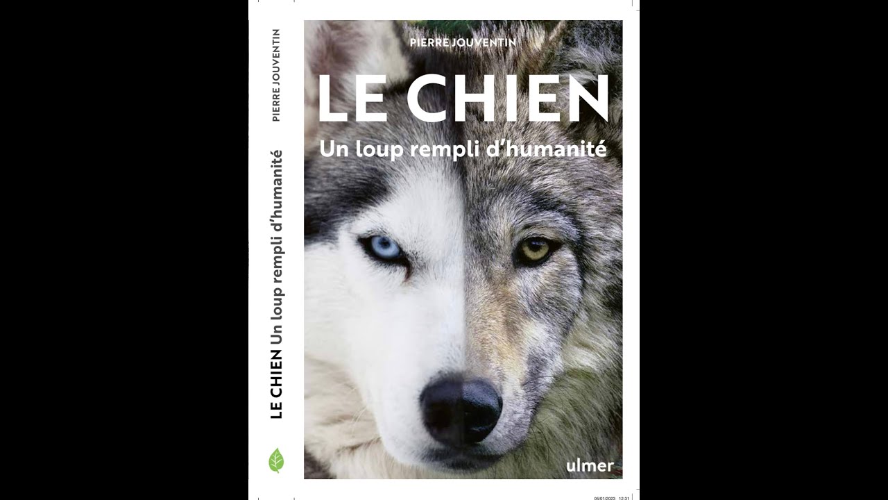 Interview de Pierre JOUVENTIN