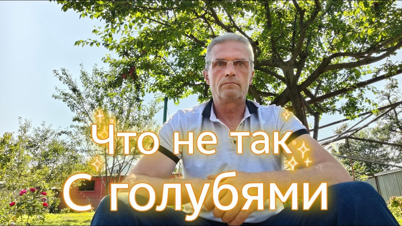 Да что не так с голубями