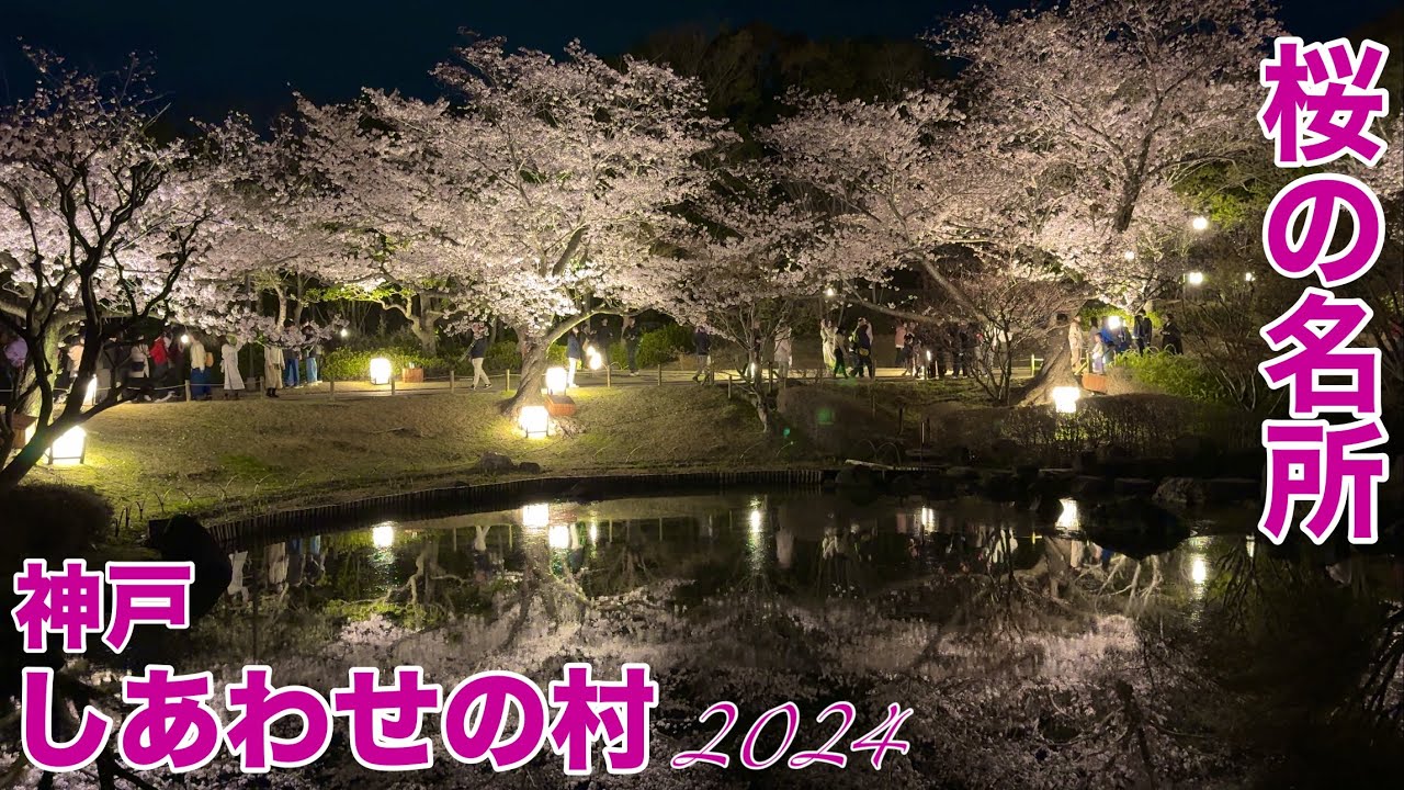 【神戸観光】桜の名所 しあわせの村でお花見してきました