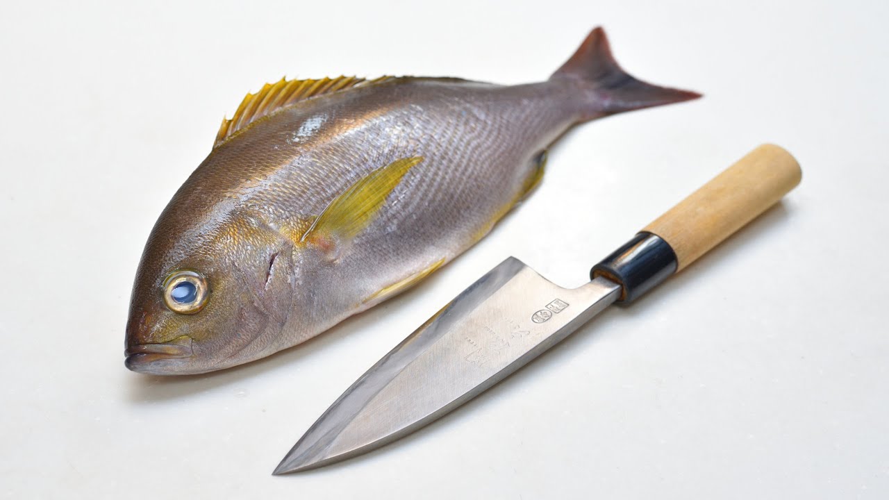 関孫六 出刃包丁でイサキを捌く Filleting Fish