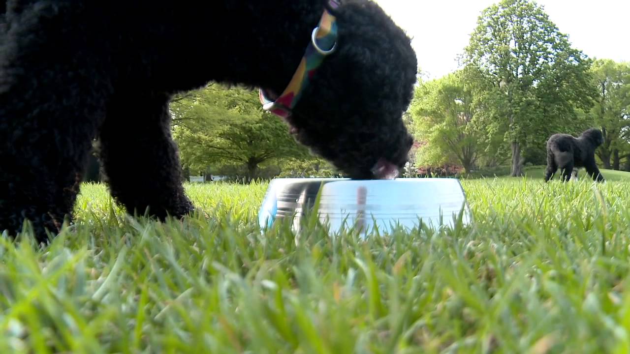 Drink Up! With Sunny