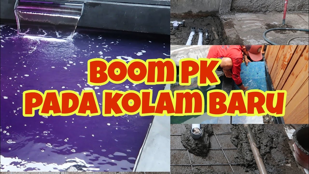 PERAWATAN AIR KOLAM KOI BARU