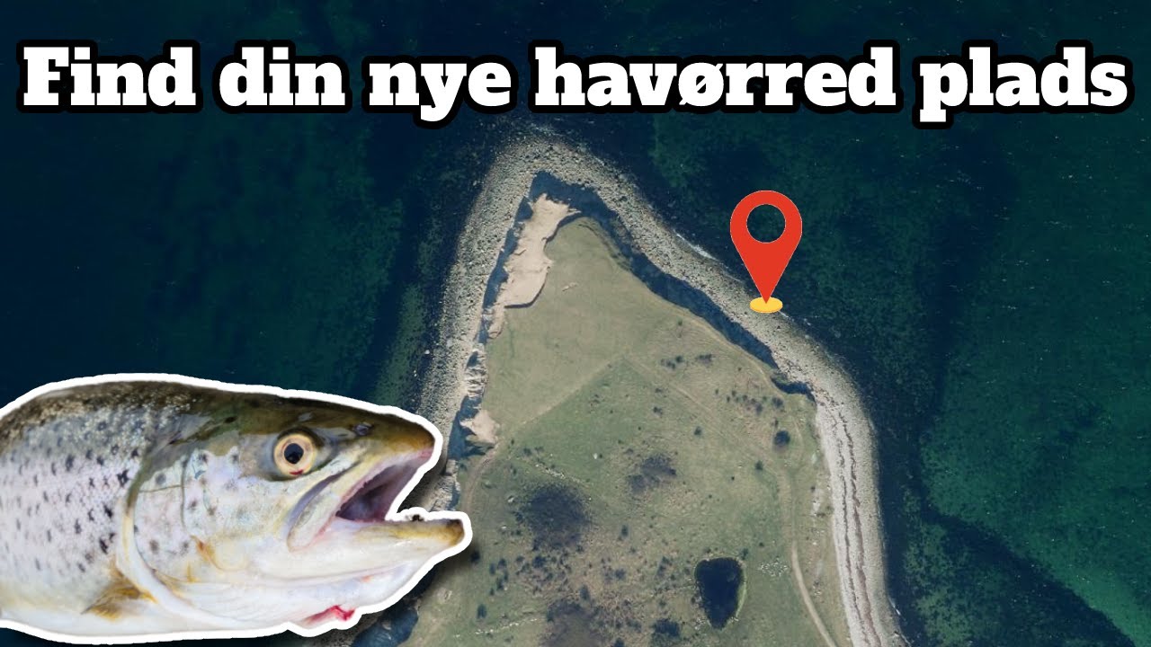 Sådan finder du din nye havørred plads | Guide til valg af fiskepladser