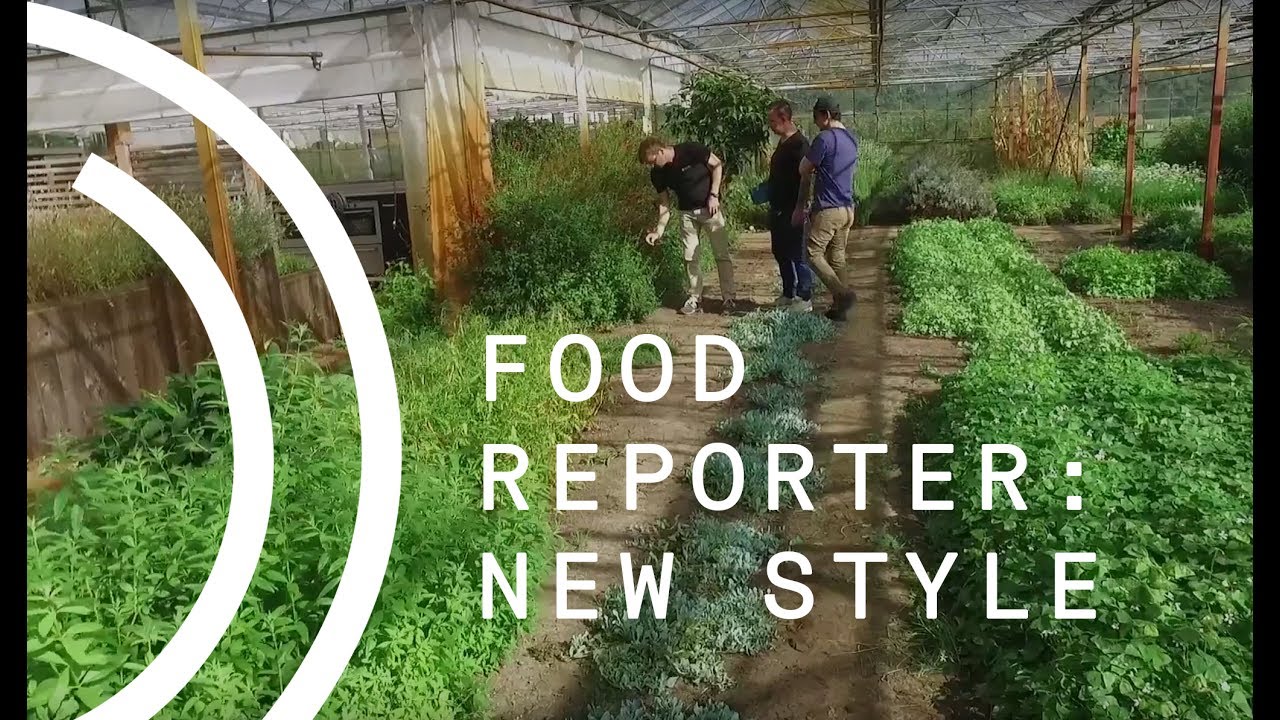 Food Reporter trailer: new style