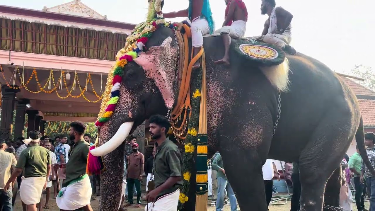 പന്തല്ലൂർ പൂരം 2k26