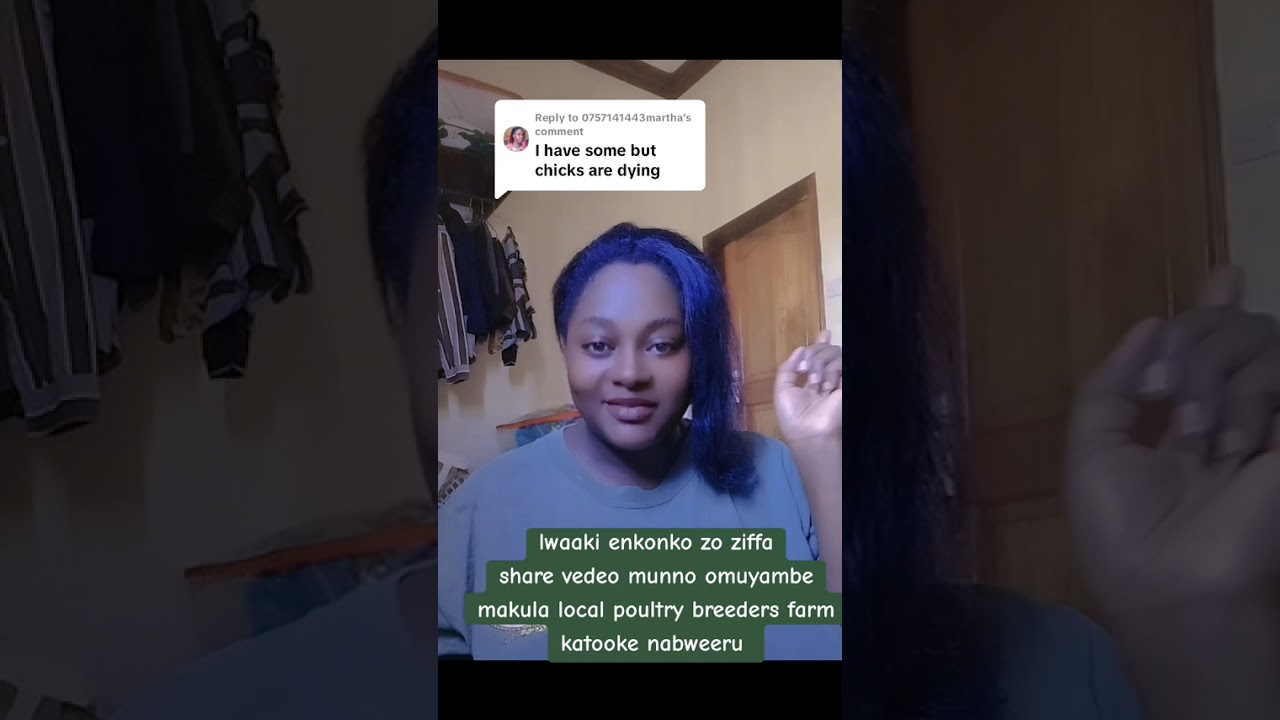 Lwaaki enkonko zo ziffa ffa  mu brooder