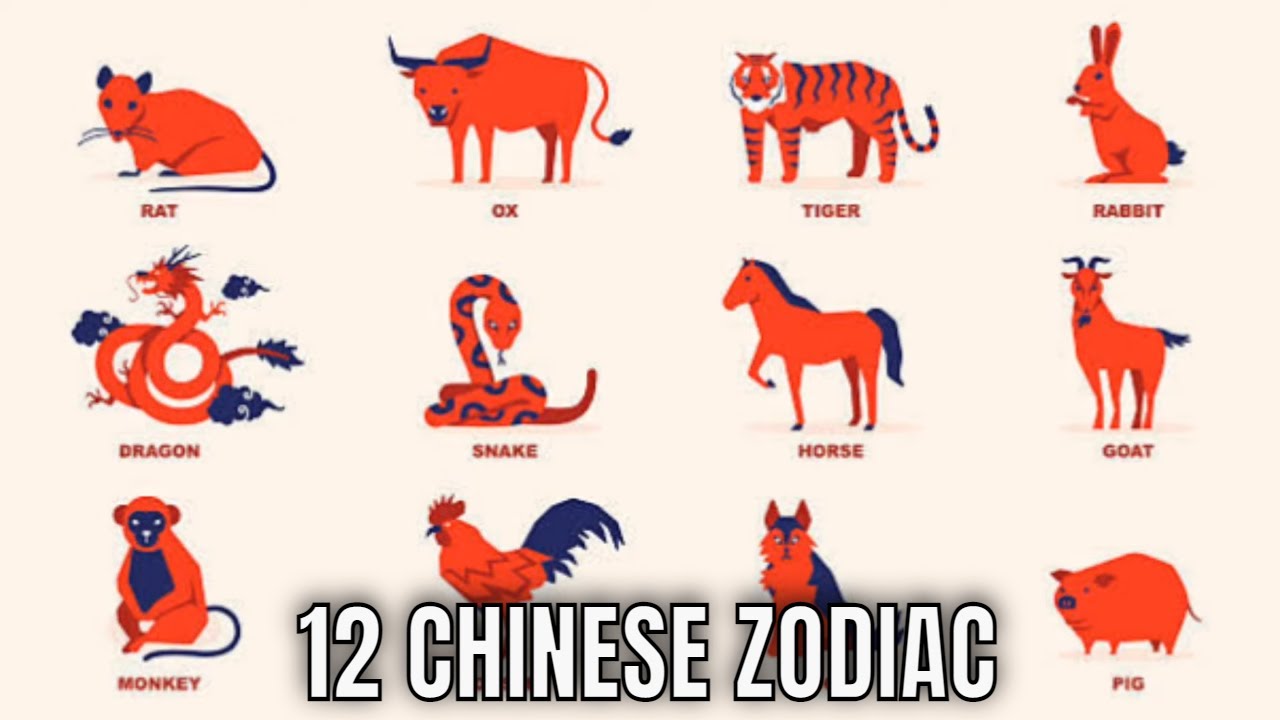 The 12 Chinese Zodiac Signs & What They Mean for Your Personality And The Year Ahead | Ziggy Natural
