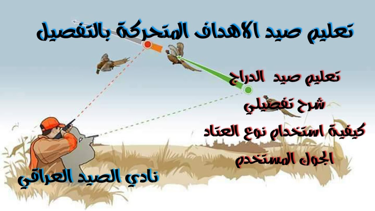 تعليم نقلات الصيد على الهدف المتحرك ب اتقان مع فيديو بالاشارات لصيد طائر الدراج فيديو مهم للجميع
