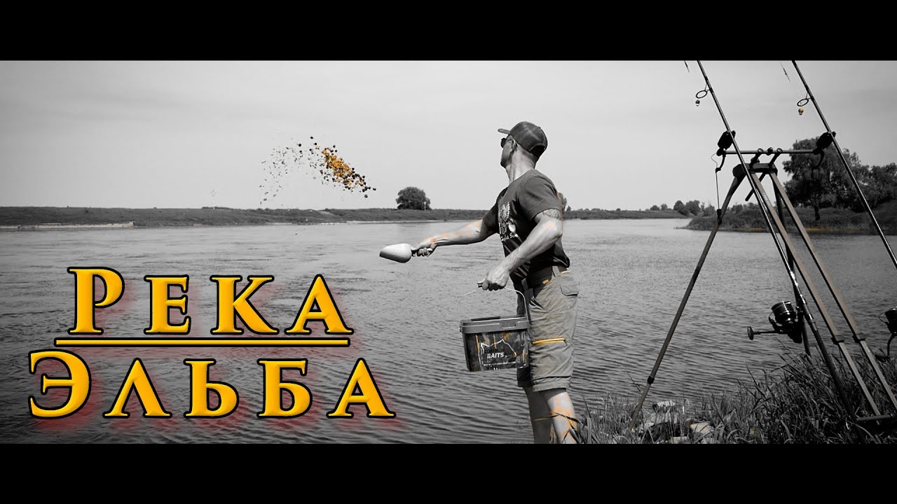 Карпфишинг Ловля Карпа на Реке | RIVER JOB | BEGINNING