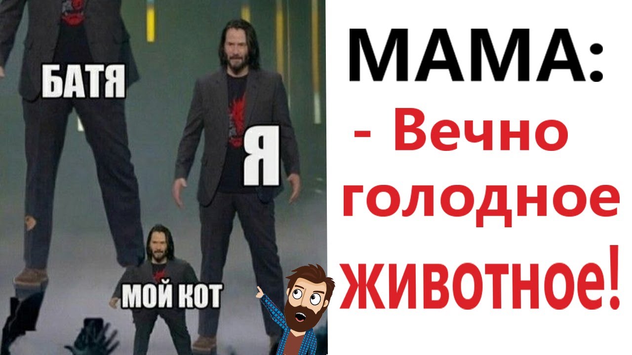 Приколы! 😱 КТО ИЗ НАС ГОЛОДНОЕ ЖИВОТНОЕ! Смешные видео   Доми шоу!