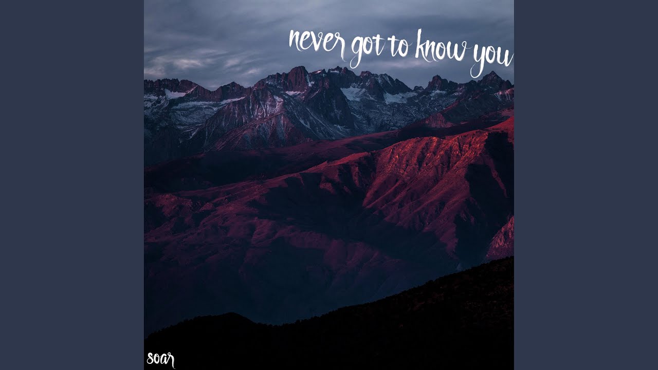 Never Got to Know You