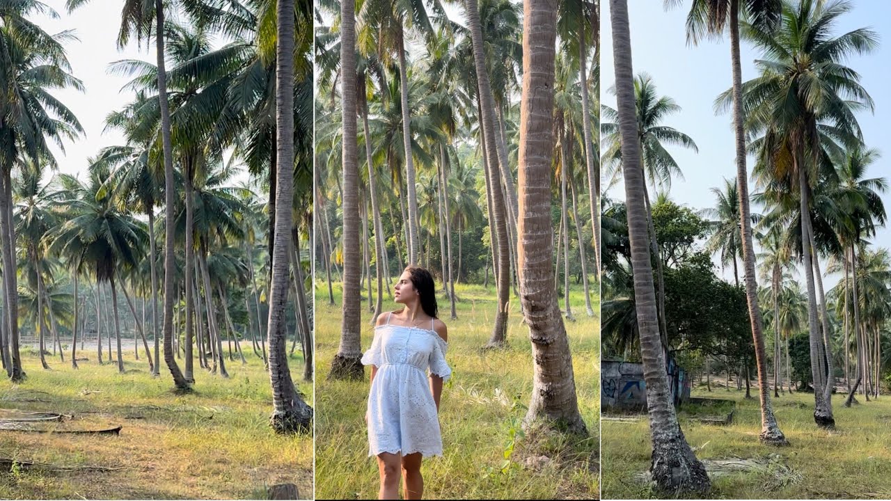 Остров вечного фестиваля Панган 🥳// Thailand