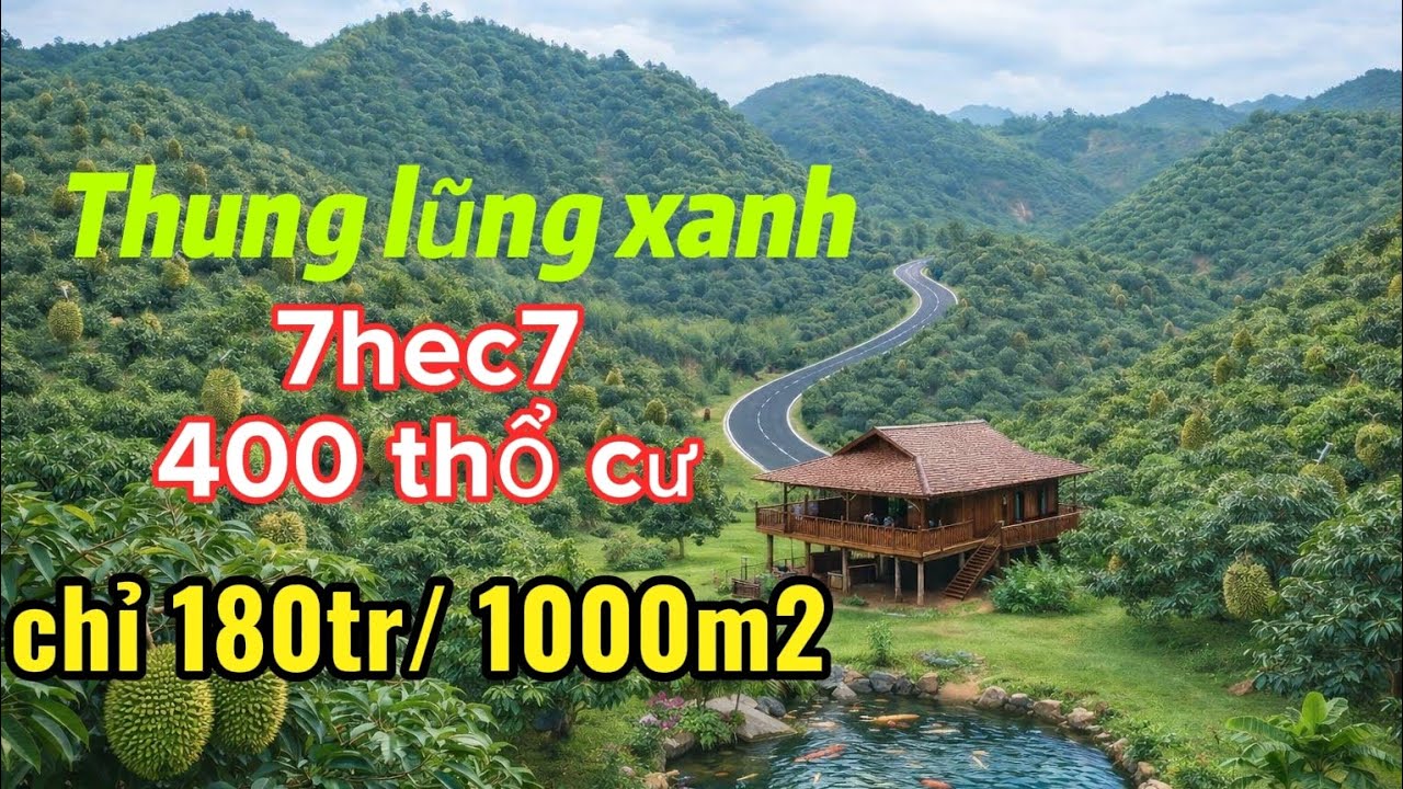 Thung lũng riêng giữa núi đồi mặt tiền nhựa -Làm Farm sầu riêng hay nghỉ dưỡng?