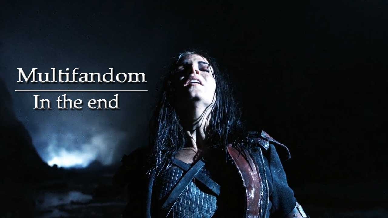 Multifandom l In the end
