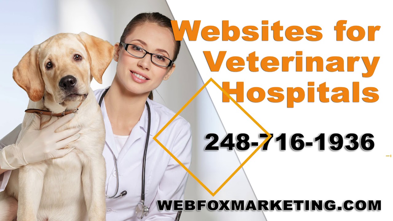 Veterinary Marketing and Website Design Company in Michigan
