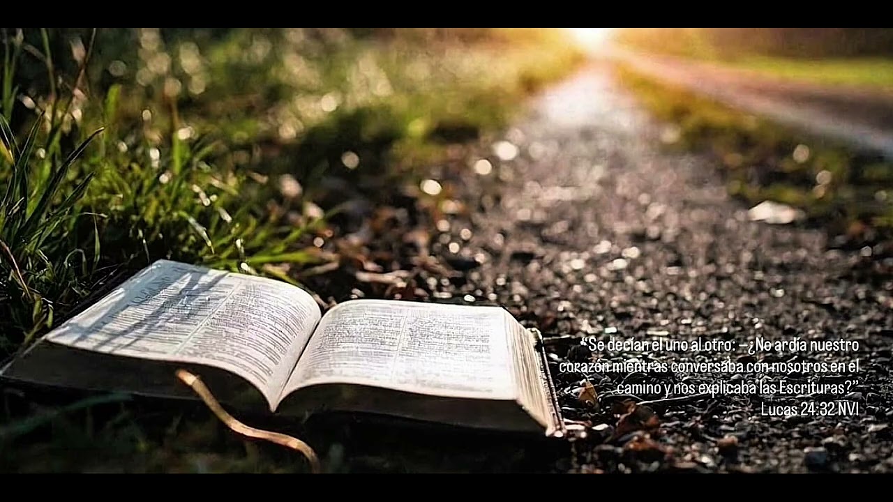 Devocional Caminando con Jesús.  Día 37:  Jesús el Maestro Perfecto.