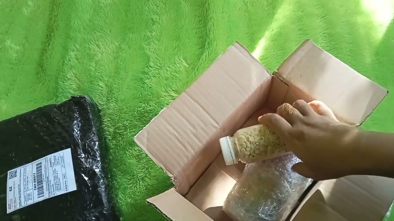 Paket Berbuah Lebat:Merangsang Pembuahan&Mencegah Kerontokan Bunga