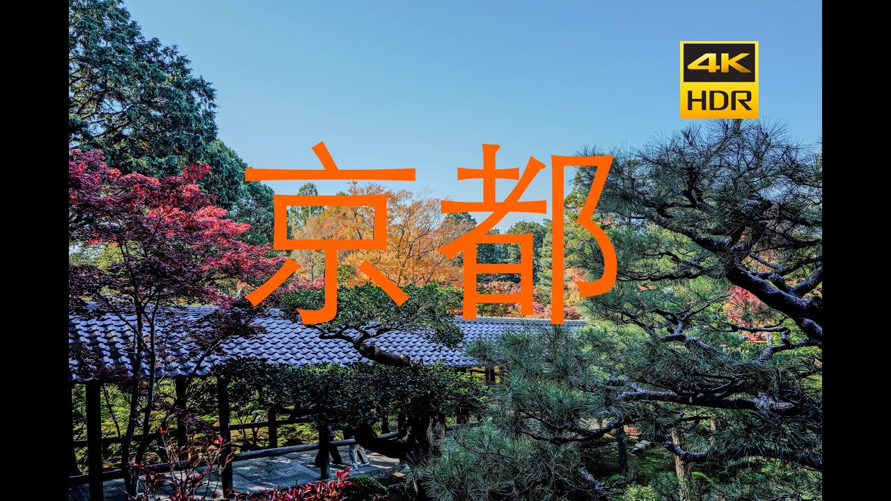 京都🍁之旅2025｜追寻红叶：最美的秋天瞬间 “Kyoto Autumn Journey 2025｜ The Most Beautiful Moments of Fall in Kyoto”