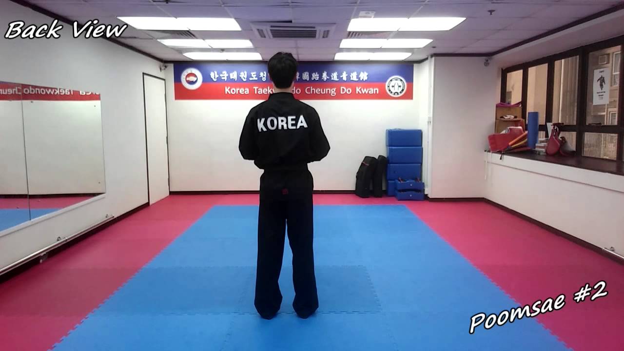 Taekwondo - Poomsae 2 (Yi Jang) Slow-motion & Mirror