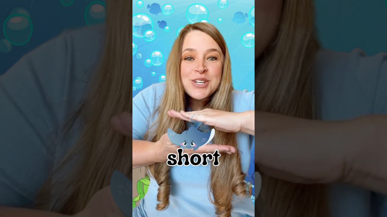 Ocean Animal Opposites Song 🎶 Kids Song | Learn opposites