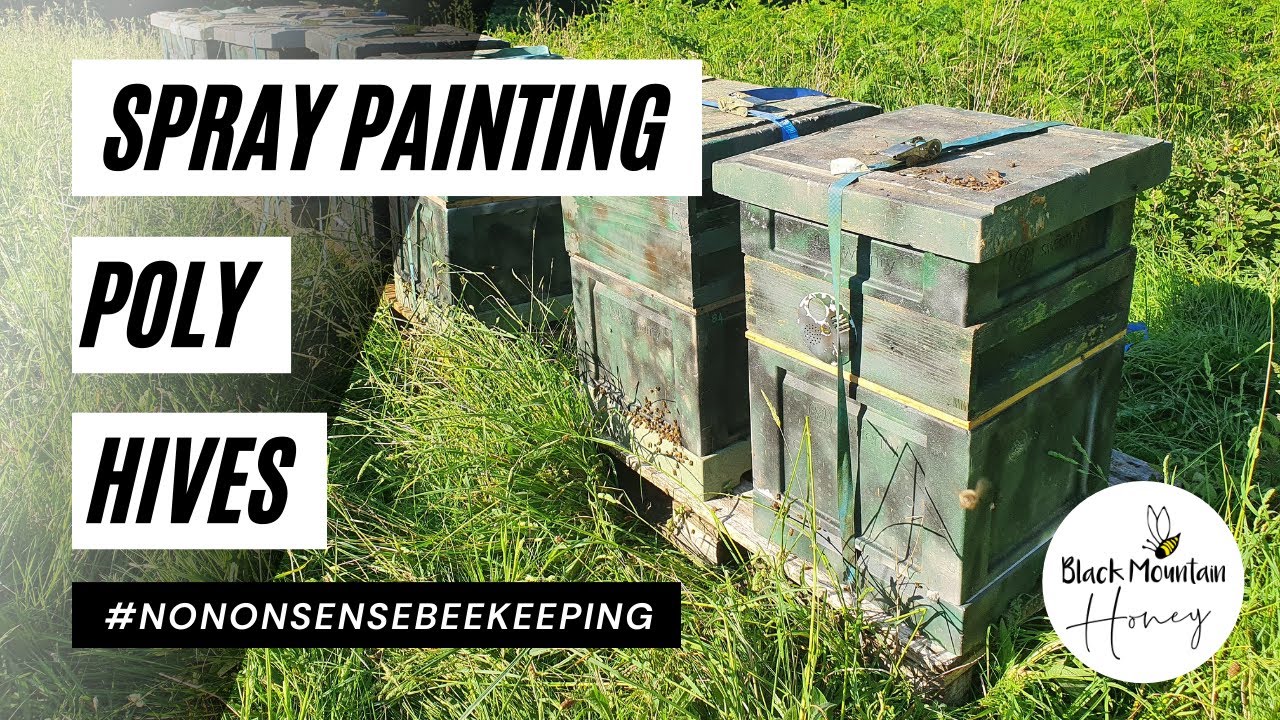 Painting Beehives
