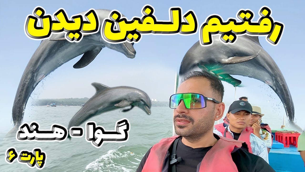 رفتیم دلفین دیدن در اقیانوس هند We Are Going To See Dolphin | Goa India | @IamMrFH