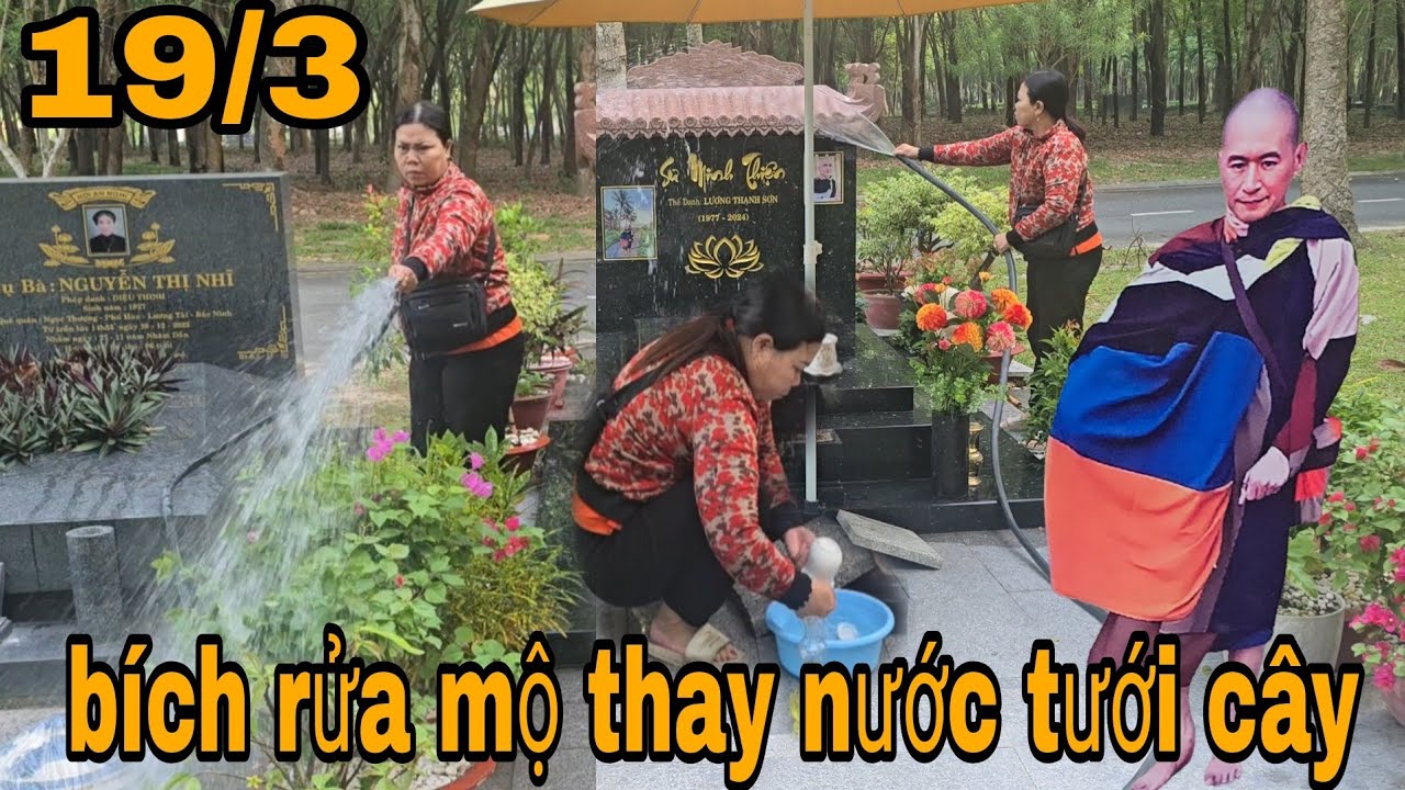 Sáng bích đến rửa mộ thay nước  thấp hương tưới cây sung quanh mộ thầy minh thiện 