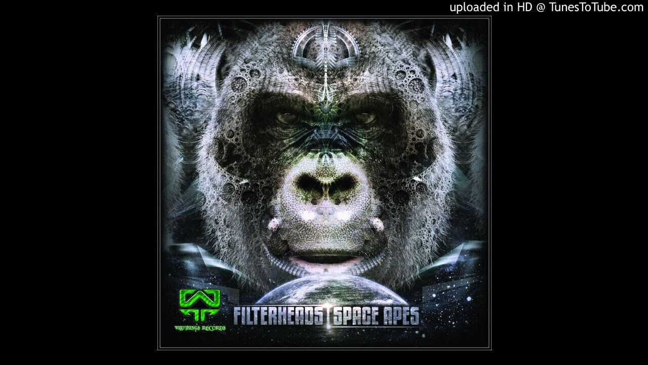 Filterheads - Space Apes