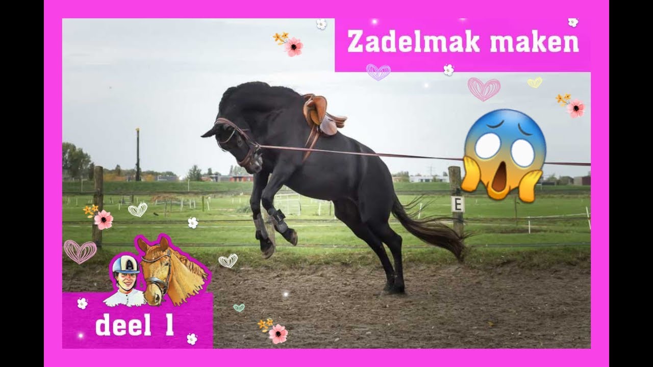 🦄 #48 | zadelmak maken deel 1  | Daniëlla van der Werf