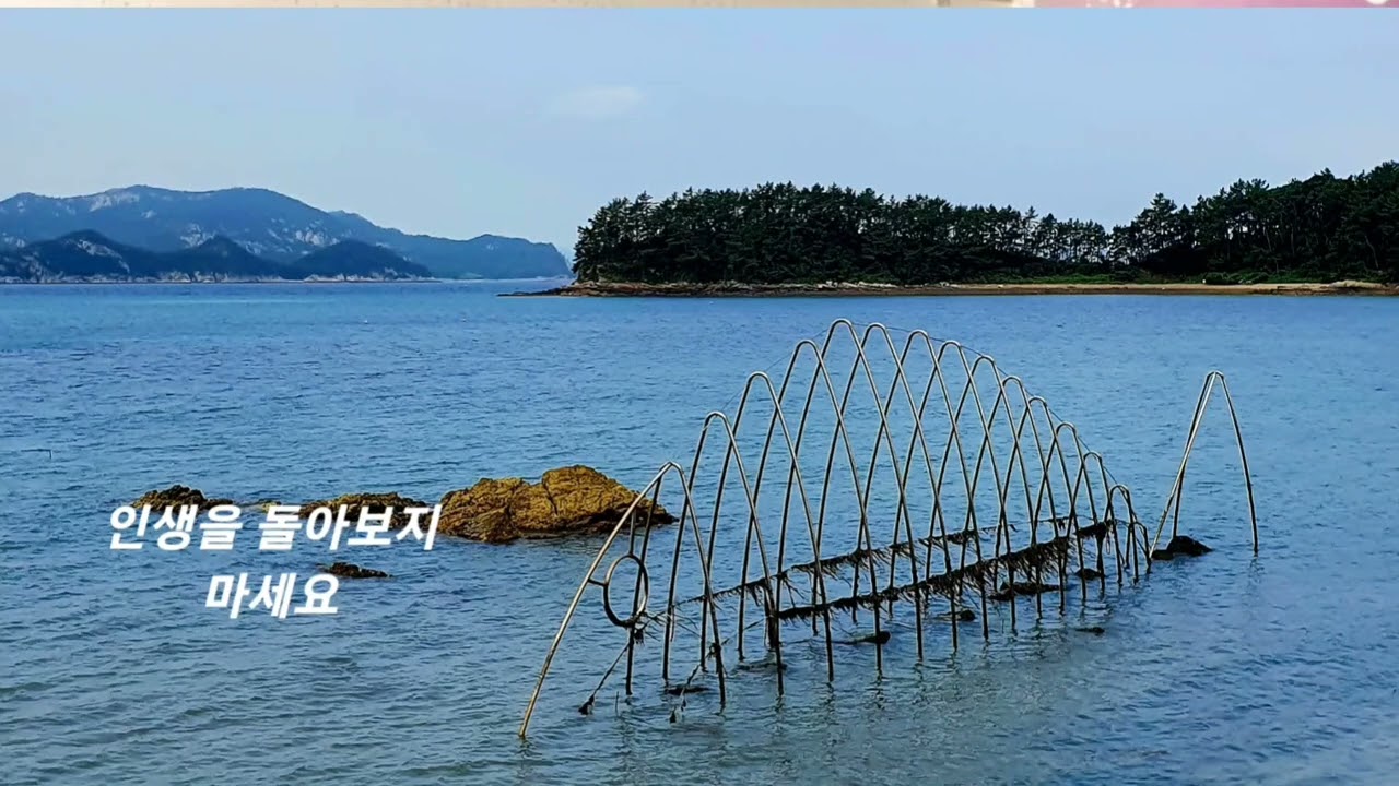 오늘이 젊은날(김용임)_ 오유진_ 이충우 색소폰연주