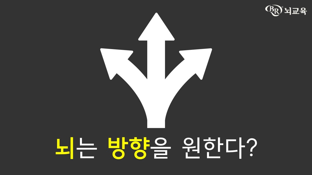 [뇌교육 특강]뇌교육, 스트레스 관리에서 학습역량 강화까지 (6편) 뇌는 방향성을 원한다