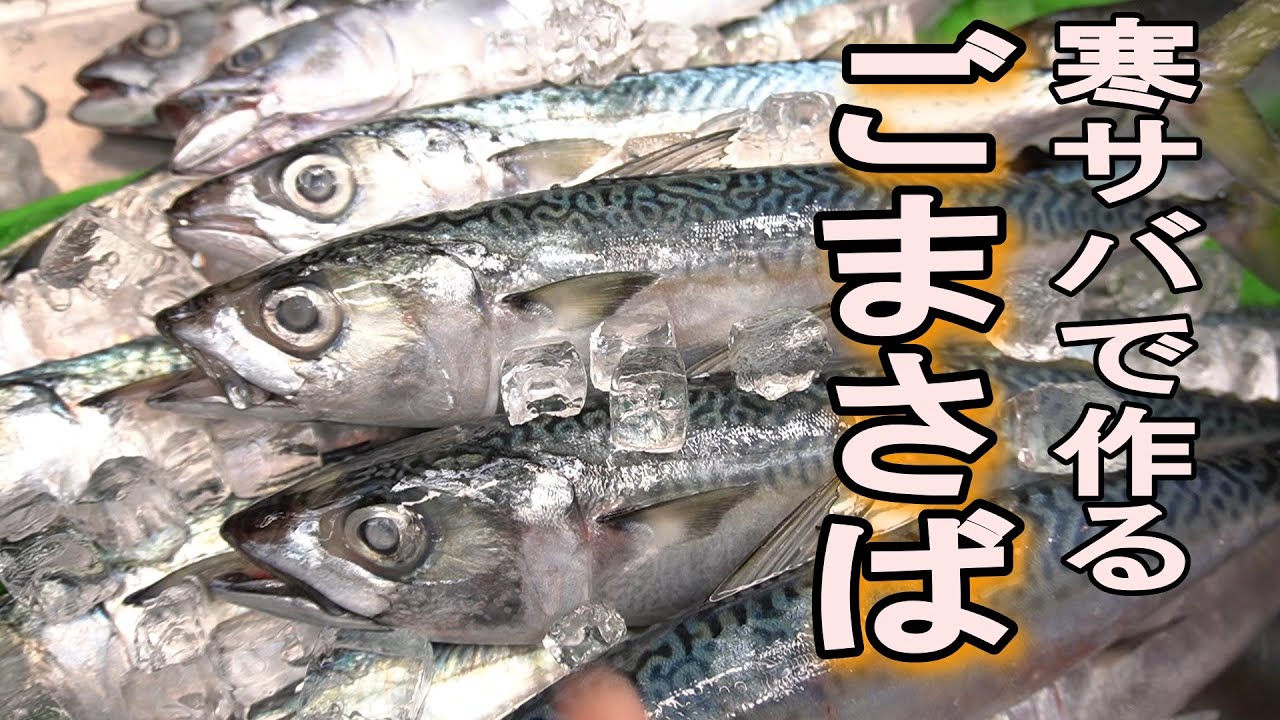 【これだけは必ず作って！】サバが釣れたら絶対に食べてほしい！福岡の味「ごまさば」2022 2 18 岬丸寒サバ料理