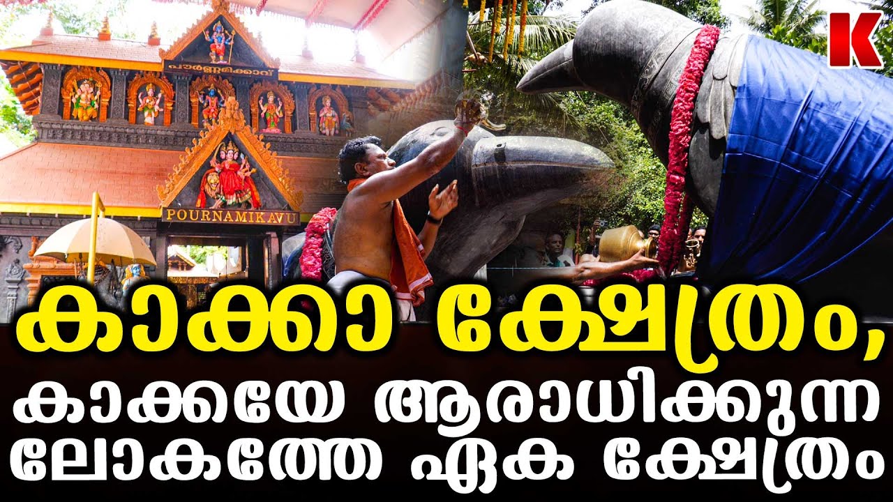 കാക്കകളെ  കല്ലെറിയരുതേ... കാക്ക ആരാധന ക്ഷേത്രം- പൗർണ്ണമിക്കാവ് ക്ഷേത്രം
