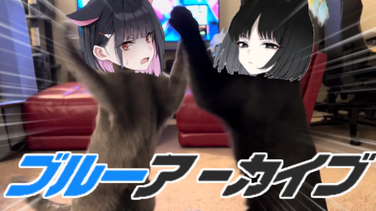 【ブルアカ】キキョウ＆カズサの加湿器の戦いリターンズ　 #湿度高い