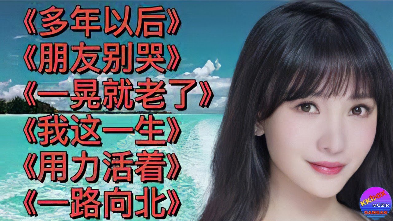 经典老歌《多年以后》《朋友别哭》《一晃就老了》《用力活着》