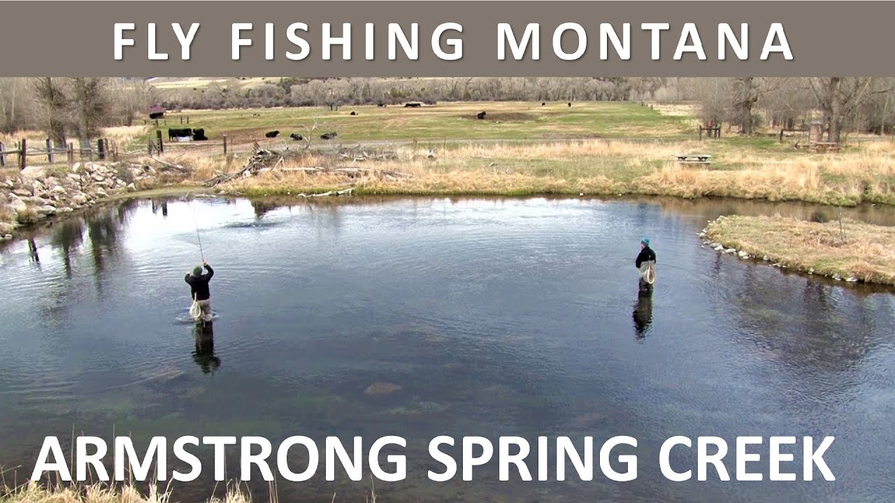 Fly Fishing Montana's Armstrong Spring Creek in March [Episode #32]
