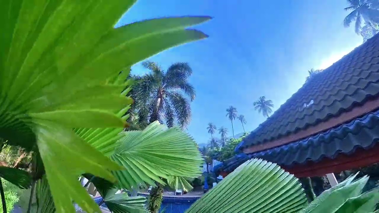 Berghof Resort Lamai Koh Samui Thailand 