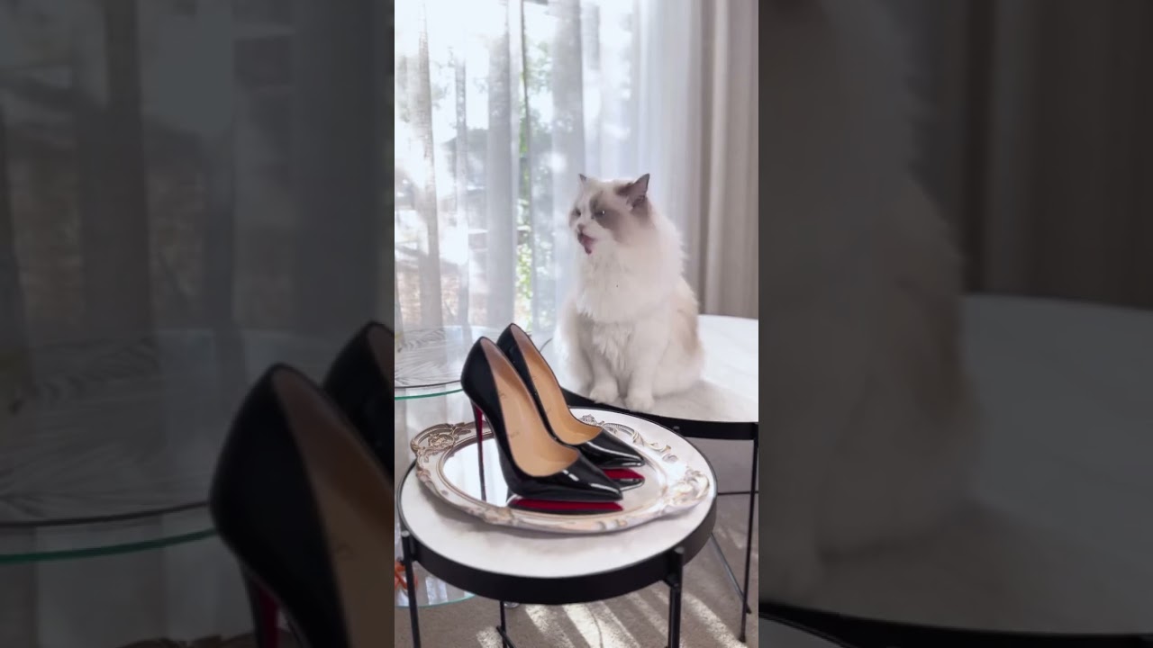 Christian Louboutin High heels with red soles.#hellsparadise #highlights #christianlouboutinshoes