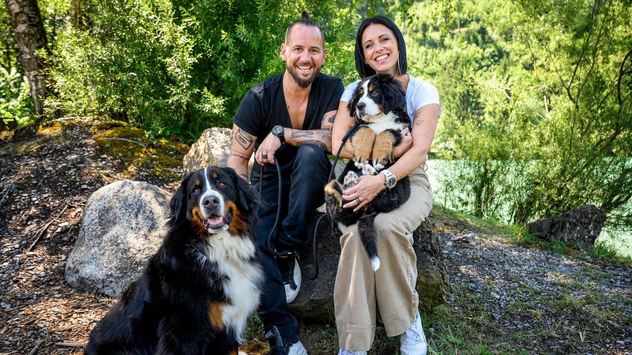 «Tierisch prominent» mit Brigitte & Marc Trauffer: «Meine Hunde zwingen mich, Feierabend zu machen»