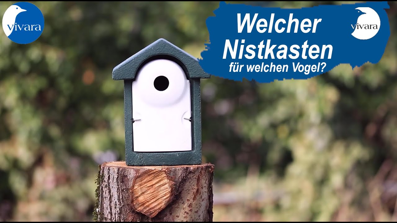 Welcher Nistkasten eignet sich für welchen Vogel?