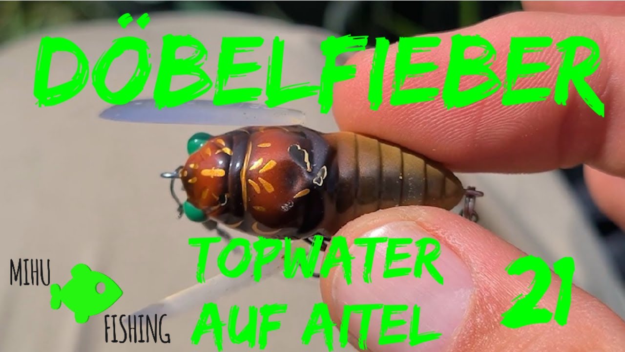 Döbelfieber - Mit Oberflächenköder und Crankbaits auf große Aitel