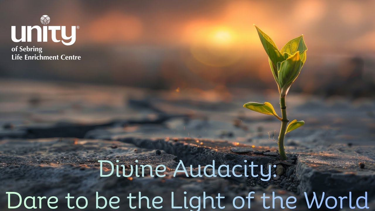 Divine Audacity - Dare to be the Light of the World - Linda Martella Whitsett - Jan 11 2026