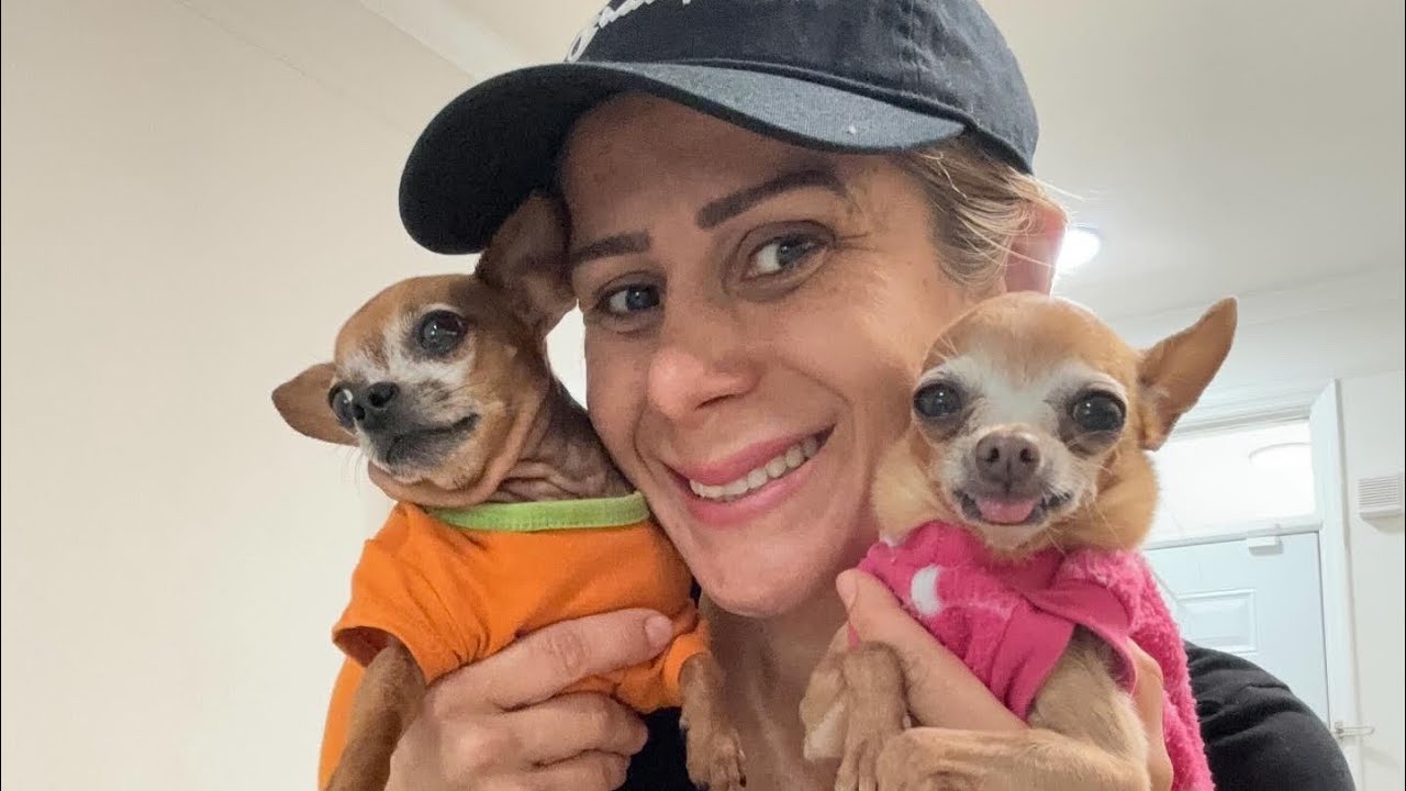 LEVEI MEU PINSCHER PRA VACINAR