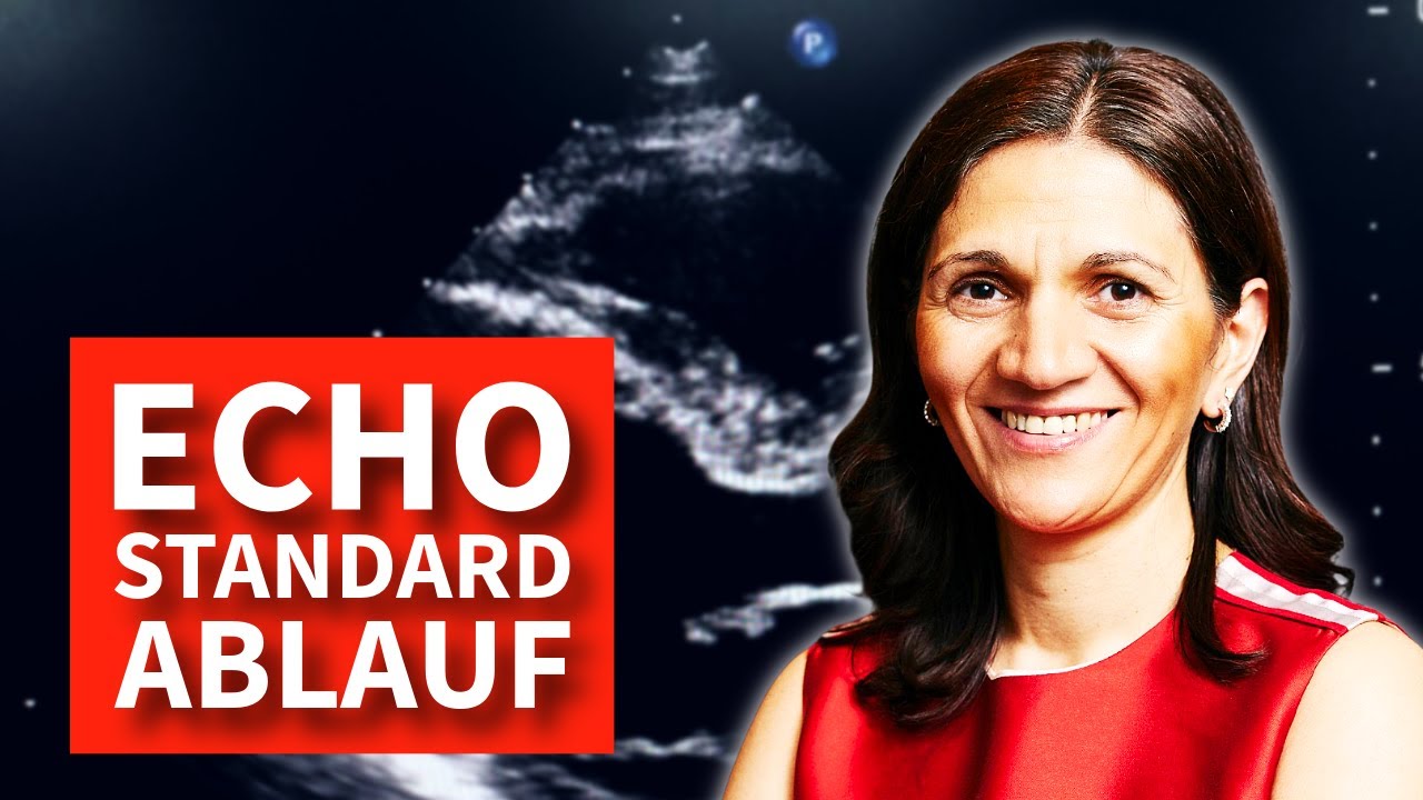 Standard-Untersuchungsablauf Echo - so geht's richtig (+ die häufigsten Fehler die ich täglich sehe)