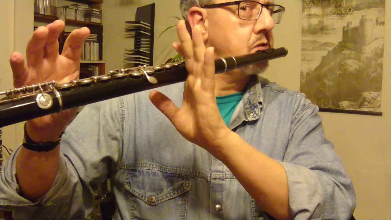 Flute Support 1 - short demonstration.