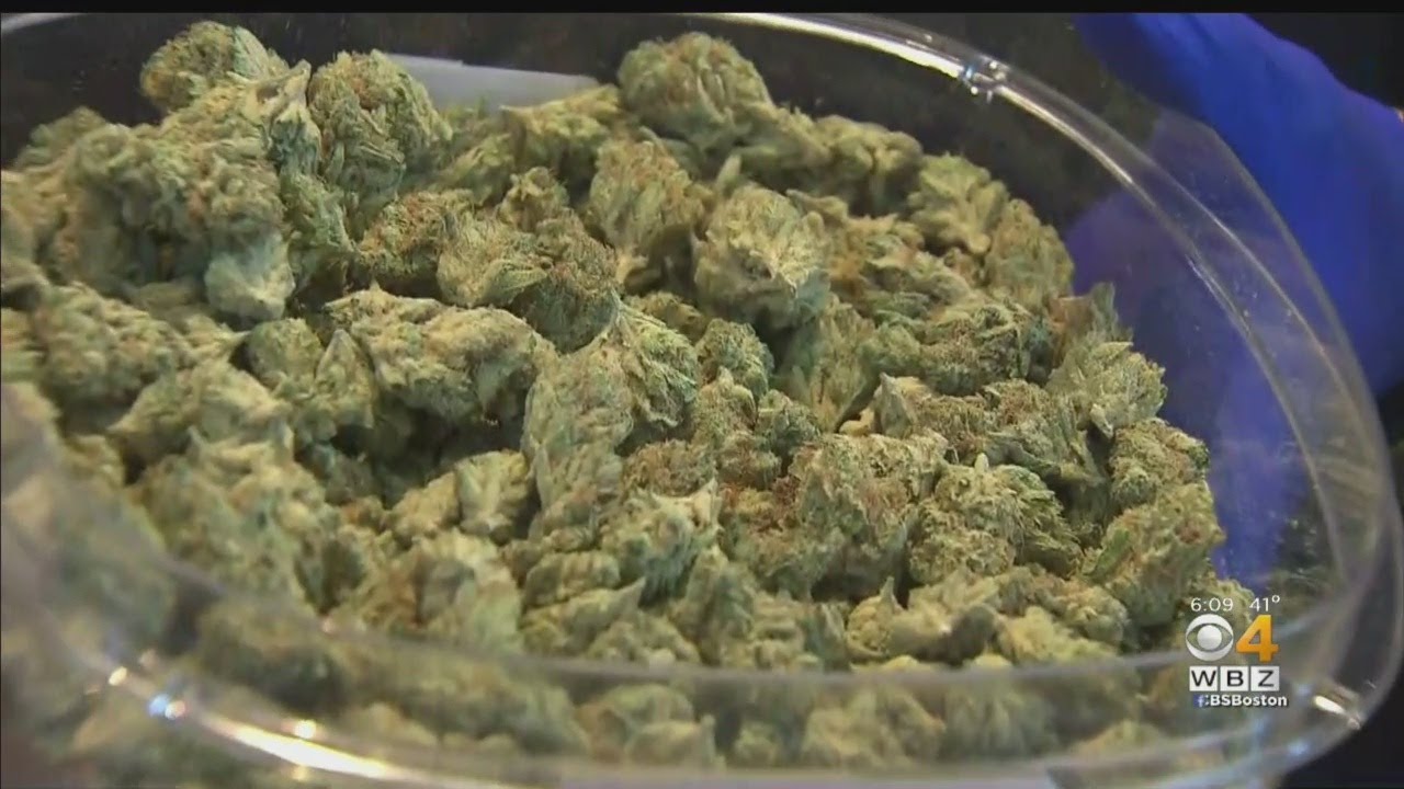 Boston Area's First Recreational Pot Shop Opens Saturday