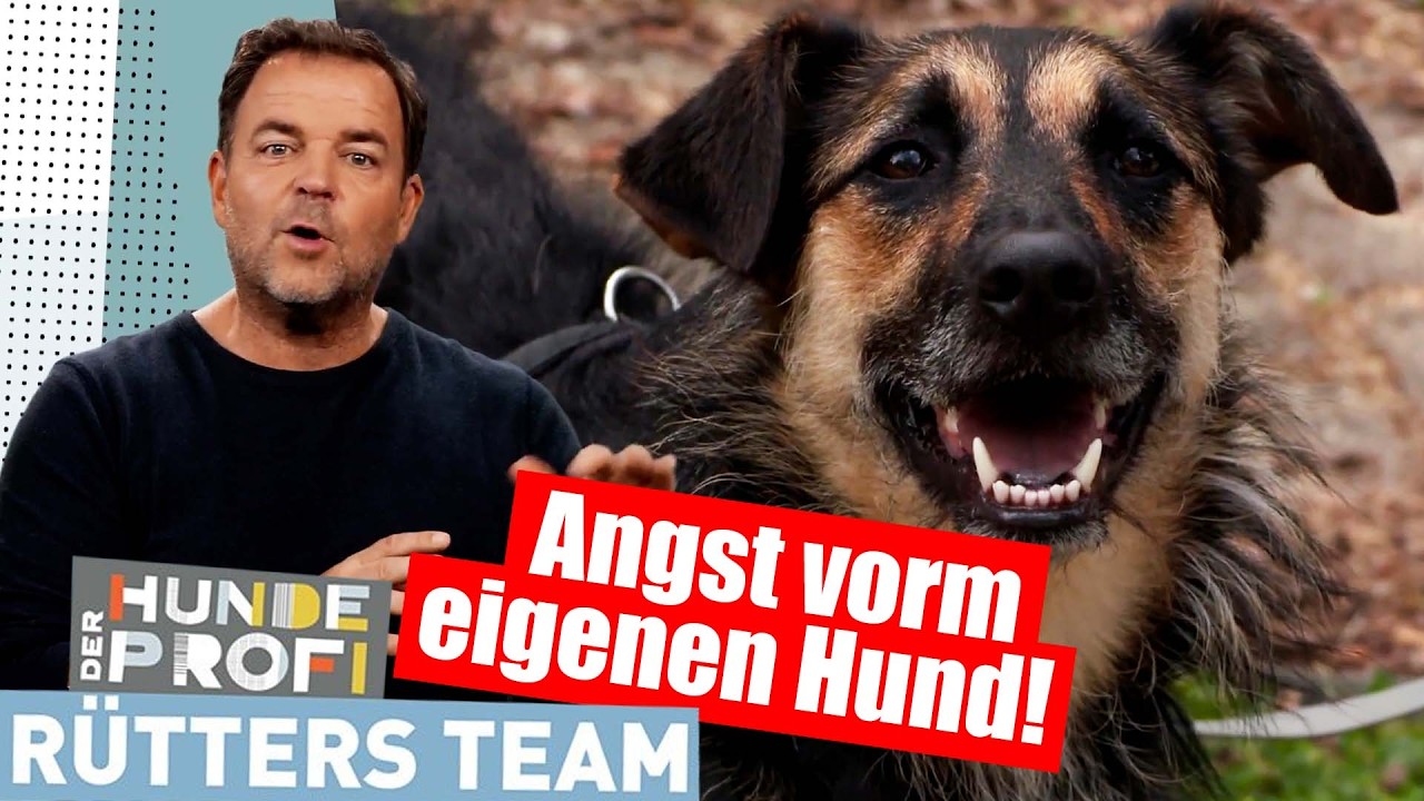 ANGST VOR DEM EIGENEN HUND! | Der Hundeprofi - Rütters Team