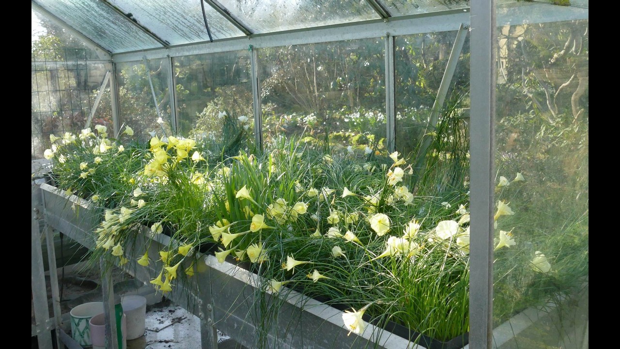 Bulb Log Video Diary 22 02 26