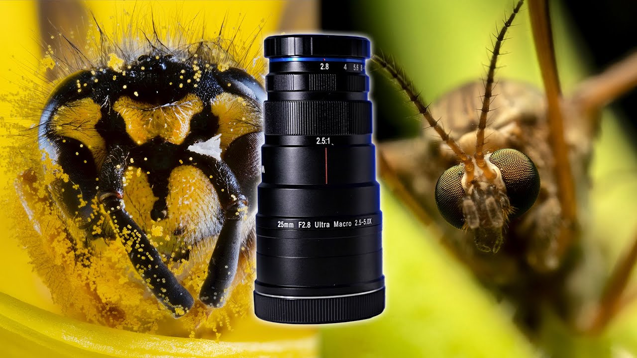 Обзор объектива Laowa 25mm F2.8 2.5-5X — УЛЬТРА МАКРО ФОТОГРАФИЯ!