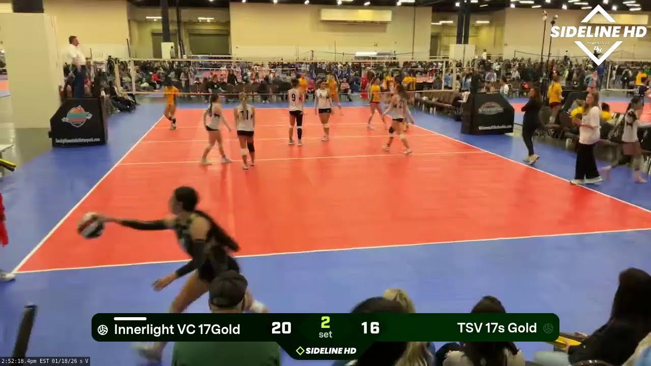 TSV 17s Gold vs. Innerlight VC 17Gold (2026.01.18)